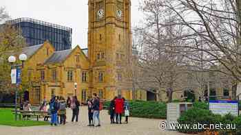 'Aren't we human beings?' Staff at prestigious university doing unpaid work to give students feedback