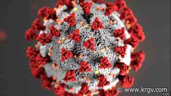 El condado Camero reporta la muerte de 5 personas por el coronavirus, 3 no estaban vacunadas - KRGV