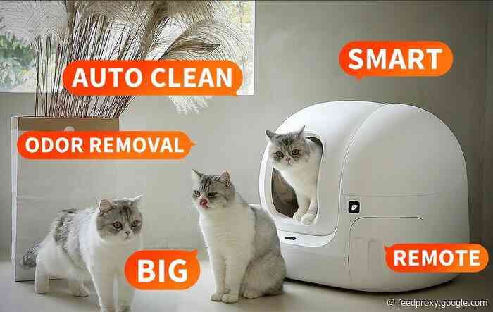 Automatic self cleaning cat litter box keeps your cat healthy and clean