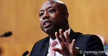 Tim Scott Knows What He’s Doing - New York Magazine