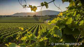 A Parma arriva il Festival Franciacorta - La Repubblica