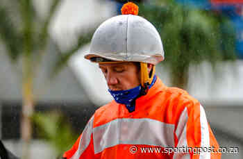 KZN Stipes - Dillon Explanation Accepted - Sporting Post