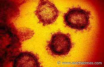 The coronavirus is still mutating. But will that matter? - The Seattle Times