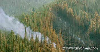 Climate Exhibitions Look Beyond Declarations of Calamity