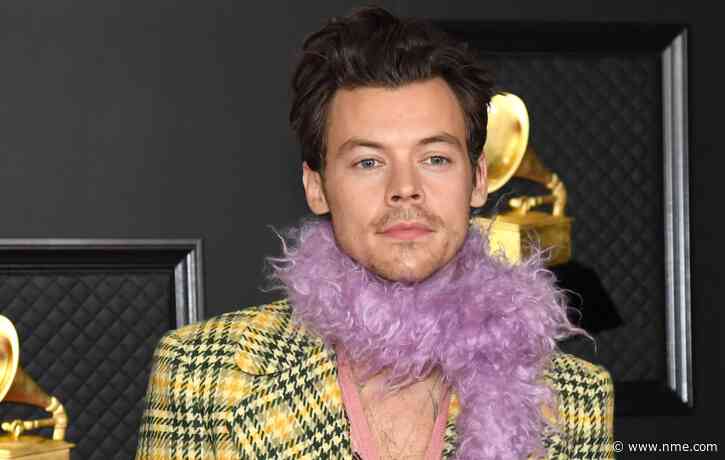 Harry Styles reportedly cast as Thanos’ brother Eros in the MCU
