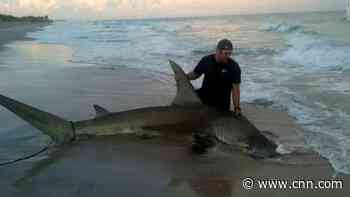 Man catches shark weighing in at over 500 pounds