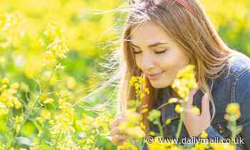 Scientists are trying to restore people's sense of smell by creating an implant that zaps the brain