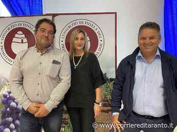 Francesco Delle Grottaglie presidente del Consorzio di Tutela del Primitivo di Manduria - Corriere di Taranto - Corriere di Taranto