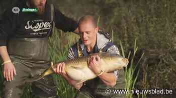 Benelux-kampioenschap karpervissen aan Paalse Plas