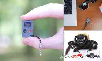 Gaming: World's smallest console is the same size as a POSTAGE STAMP-but is fully functional