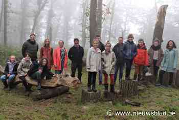 Houten figuren dwalen voortaan rond in wonderbos (Lebbeke) - Het Nieuwsblad