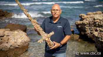 Ancient Crusades-era sword found by diver off coast of Israel