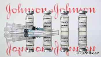 J&amp;J raises profit forecast amid COVID-19 vaccine sales