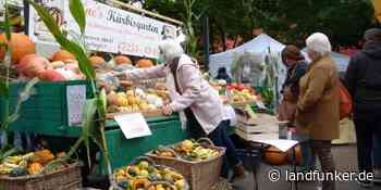BRUCHSAL | Herbstmarkt auf dem Europaplatz war Ziel vieler Gäste - Landfunker