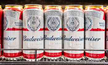 Budweiser reveals plans for the UK's first hydrogen-powered BREWERY in South Wales by 2024
