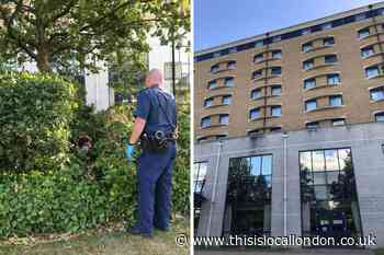 Greenwich: Khloemae Loy's Holiday Inn murder trial to begin