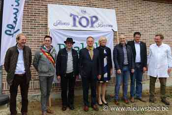 Nieuwe schakelpost versterkt elektriciteitsnet in regio (Brakel) - Het Nieuwsblad