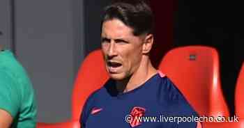 Liverpool suffer Atletico Madrid misery as Fernando Torres helps mastermind defeat