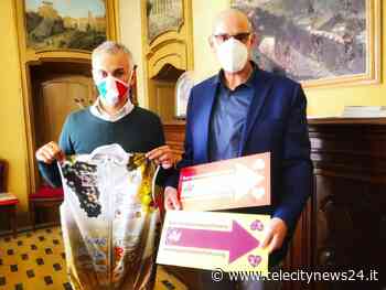 Torna “Pedalando tra le vigne in rosa” del Brachetto d’Acqui, Moscato d’Asti e i paesaggi di Langhe-Roero e Monferrato - Telecity News 24