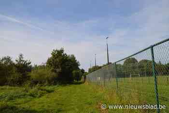 Stort met asbest afvoeren zou 7 miljoen kosten, maar bufferwal is nu als oplossing goedgekeurd voor groei zomerklokje