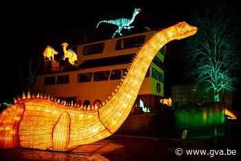 Goed nieuws voor eindejaar: er komen weer lichtfestivals in de Antwerpse dierentuinen - Gazet van Antwerpen