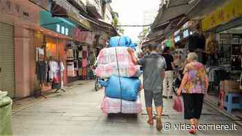 «One Earth - Tutto è connesso», il documentario che racconta il legame tra sistema alimentare, crisi climatica e epidemie - Corriere TV