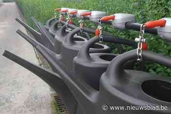 Bellemse begraafplaats krijgt gieterboom - Het Nieuwsblad