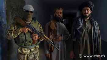 Taliban promise plots of land to families of suicide bombers