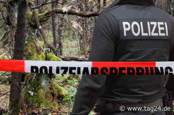 Alarm in Südhessen: Spaziergänger findet scharfe Handgranaten bei Trebur im Wald - TAG24