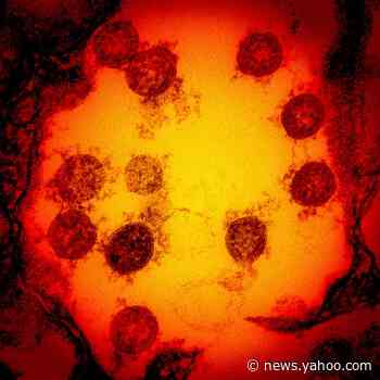 The coronavirus is still mutating. But will that matter? - Yahoo News