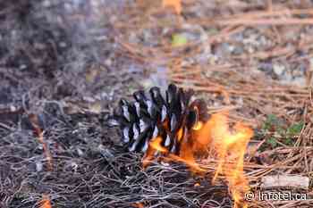 Grassfire caused by fireworks near Kamloops quickly doused | iNFOnews | Thompson-Okanagan's News Source - iNFOnews