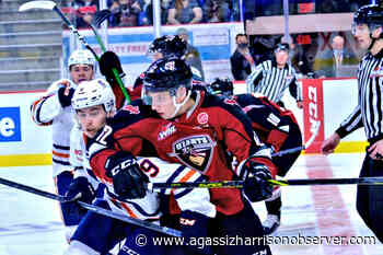 Kamloops Blazers down Vancouver Giants 5-0 – Agassiz Harrison Observer - Agassiz Harrison Observer