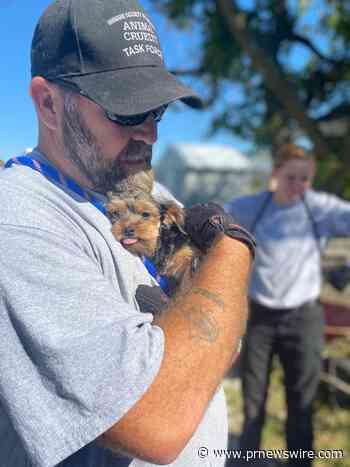 Humane Society of Missouri's Animal Cruelty Task Force Rescues Nearly 100 Dogs from a Formerly Licensed Breeder in Hickory County