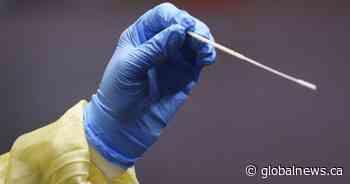 COVID-19: 8 new deaths, 271 new infections in Saskatchewan