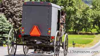 Police: Parents killed in buggy crash, 8 kids hurt