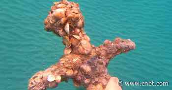 900-year-old Crusader sword discovered in the Mediterranean Sea     - CNET