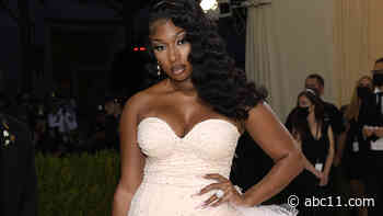 Megan Thee Stallion and Popeyes making six-figure donation to 'Houston Random Acts of Kindness'