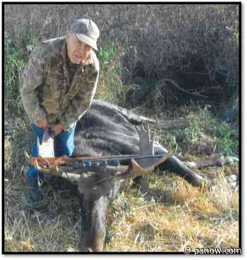 Robert “Austin” Edward Bear - paNOW