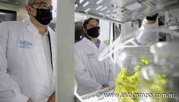 Buenos Aires: inauguran un laboratorio de micropropagación vegetal para producción masiva de plantas - Infocampo