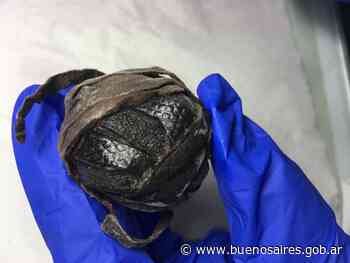 VII Semana de la Arqueología y Palentología de Buenos Aires. Patrimonio digital. Accesibilidad, difusión y educación. - buenosaires.gob.ar