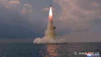 North Korea confirms missile test designed for submarine launch