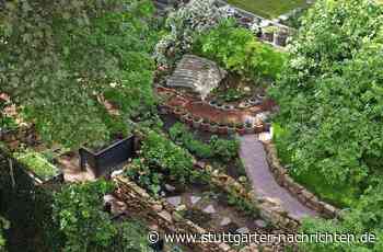 Ein Paradies im Stuttgarter Hinterhof - Mit 40 Tonnen an Steinen durch die Wohnung - Stuttgarter Nachrichten