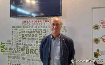 Domenico Sacchetto: "Momento positivo per la Castagna di Cuneo Igp" - Myfruit.it