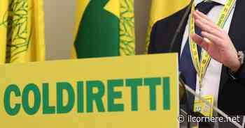 Weekend ricco di eventi con "Campagna Amica" di Coldiretti a Cuneo - https://ilcorriere.net/