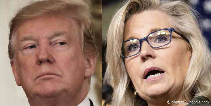 Steve Bannon not cooperating suggests Trump may have been 'personally involved in the planning and execution' of the January 6 insurrection, Liz Cheney says