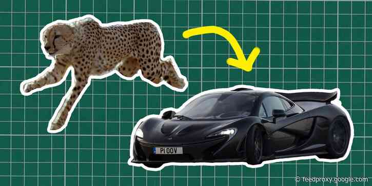 How nature inspired the design of the McLaren P1 and Mini Cooper