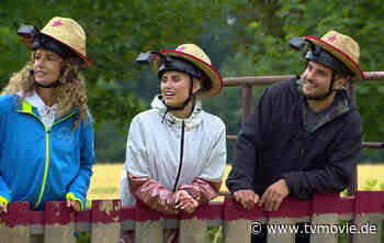 "Das Sommerhaus der Stars"-Überraschung: Dieses Paar gewinnt die Show! - TVMovie.de