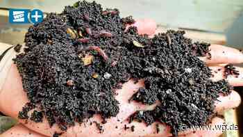 Siegen: Wie in der Würmerkiste aus Abfall bester Humus wird - Westfalenpost