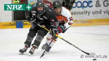 Duisburger Jungfüchse siegen – und verlieren dann klar - NRZ News