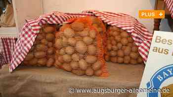 Die Ähnlichkeit mit einer Diebin bringt eine Hausfrau vor Gericht - Augsburger Allgemeine